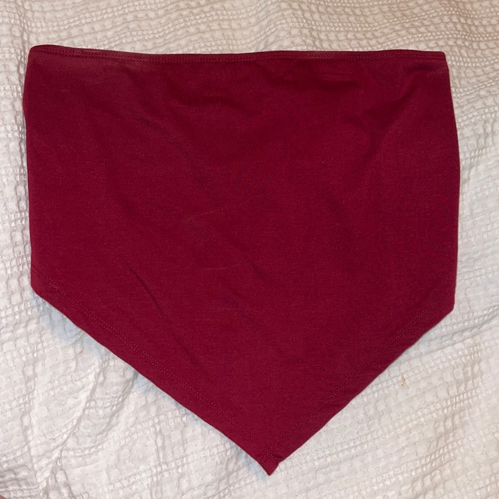 Maroon Envelope crop